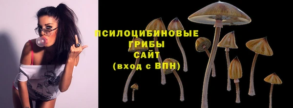 молекула духа Армянск