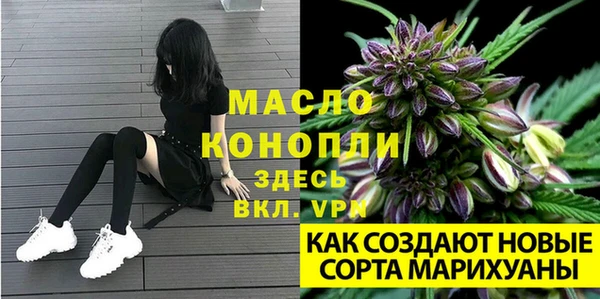 молекула духа Армянск