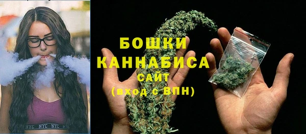 бошки Арсеньев