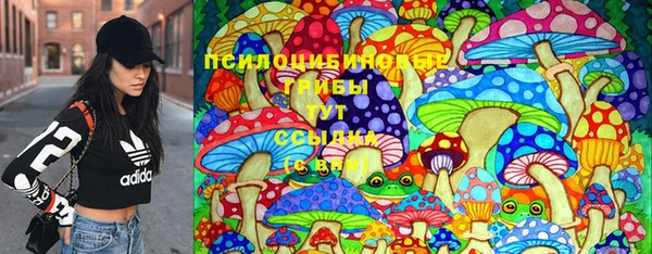 бошки Арсеньев