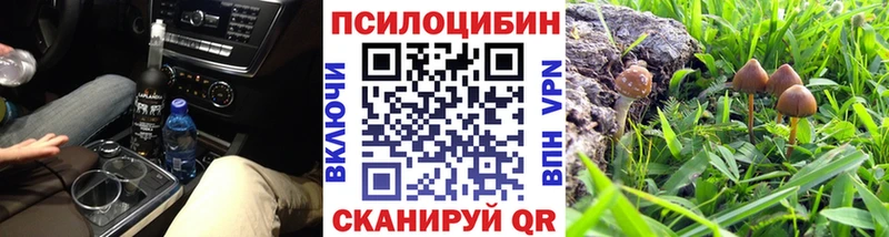 Галлюциногенные грибы MAGIC MUSHROOMS  Сковородино 